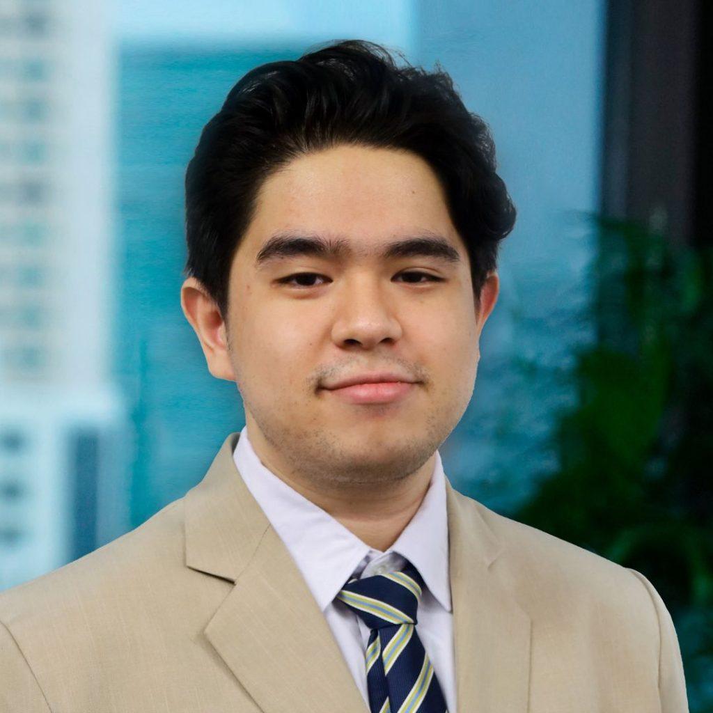 Vincent Mitchel N. Sierra